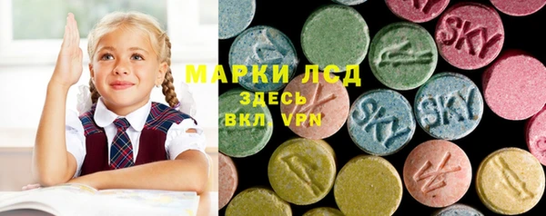 индика Куйбышев