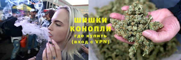 индика Куйбышев